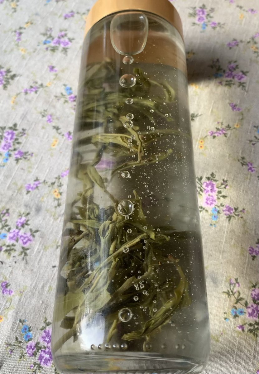 PonBaron290323's tweet photo. I am not so ~green~ in this tea buiss. now huh

#tea https://t.co/H0FJQ5aB6B