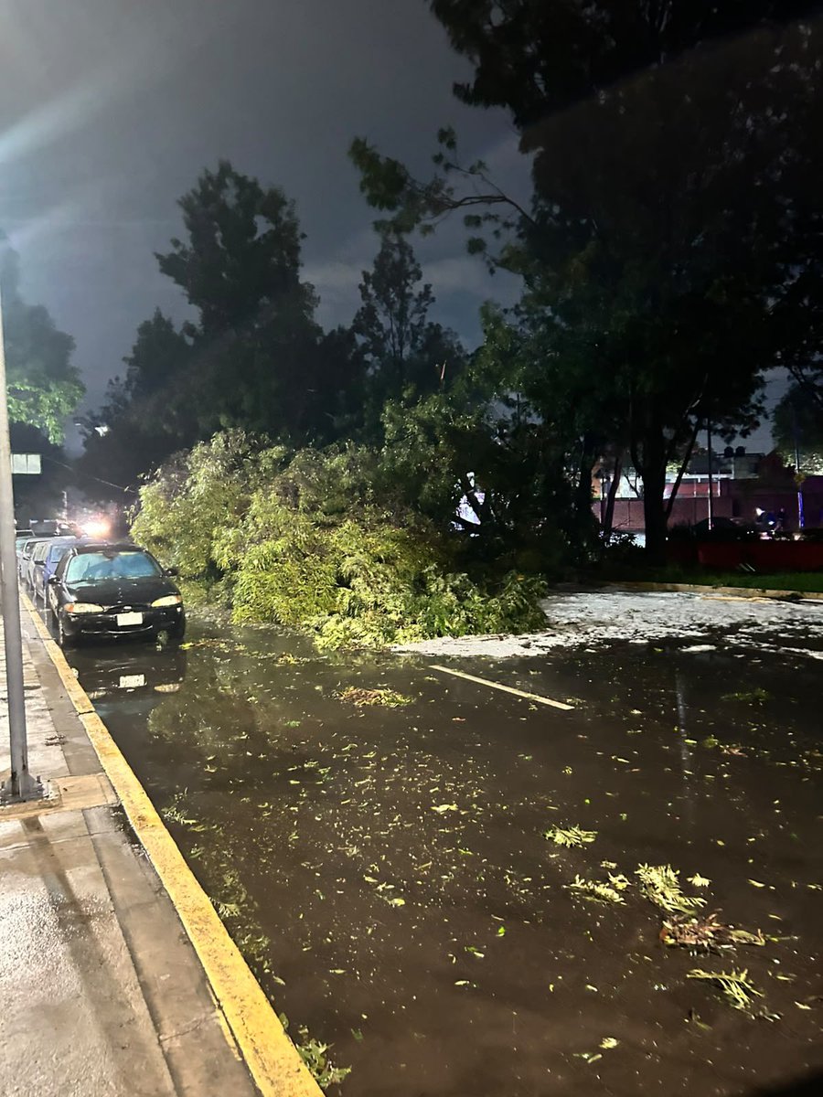 GarridoDiego_'s tweet photo. Vecinos solicitan a @TuAlcaldiaGAM  desazolve en toda la zona de Lindavista e Industrial. Calle por calle y coladera por coladera.

La granizada de anoche derribó árboles, arrastró lodo y hojas que tienen las coladeras tapadas aún el día de hoy. De llover nuevamente se volverá a inundar.

Urge operativo.