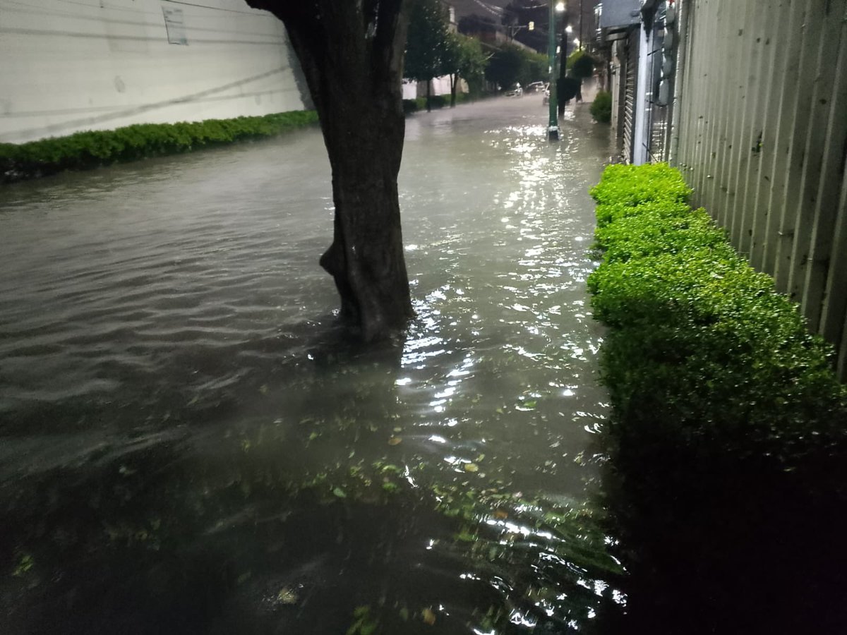 GarridoDiego_'s tweet photo. Vecinos solicitan a @TuAlcaldiaGAM  desazolve en toda la zona de Lindavista e Industrial. Calle por calle y coladera por coladera.

La granizada de anoche derribó árboles, arrastró lodo y hojas que tienen las coladeras tapadas aún el día de hoy. De llover nuevamente se volverá a inundar.

Urge operativo.