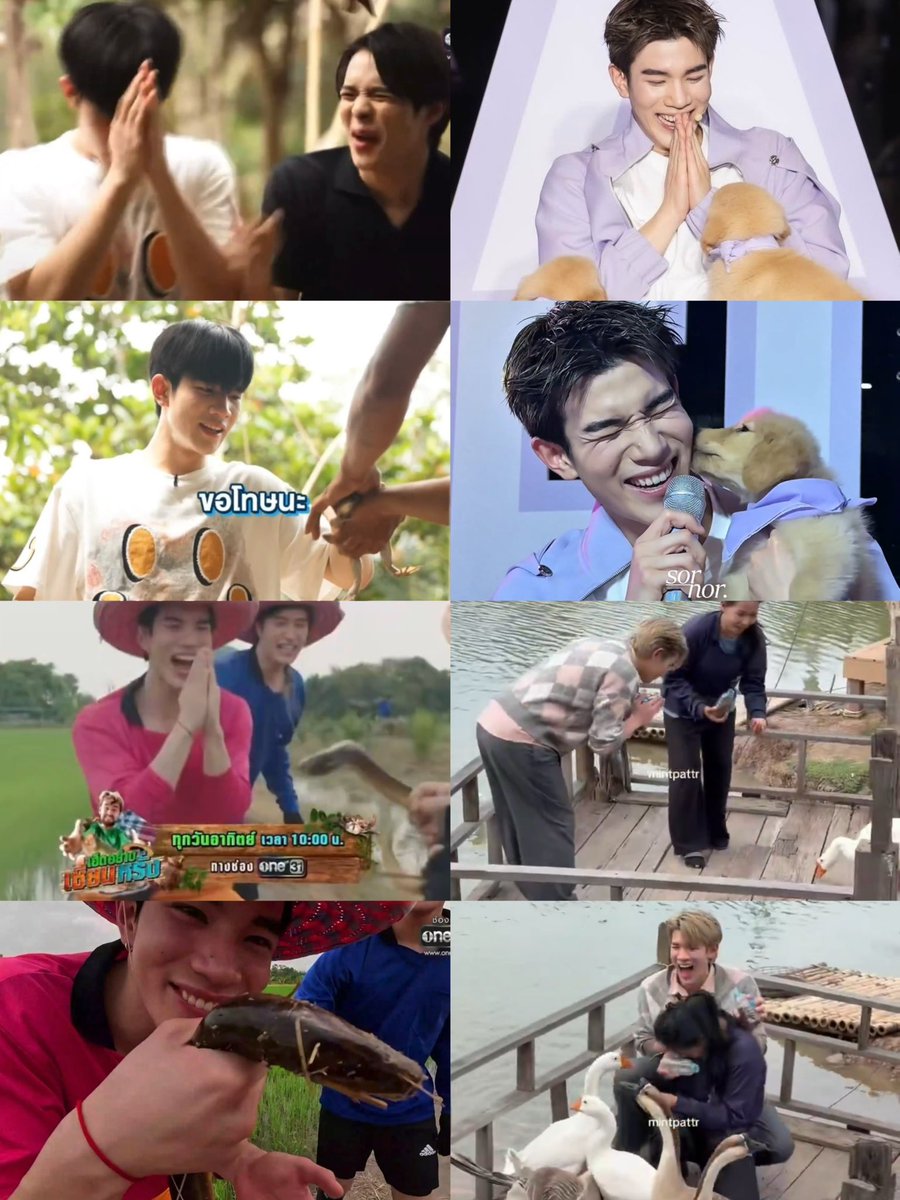 makeawishgf's tweet photo. โฟ้ดโฟ้ด w/ สัตว์โลกน่ารัก กลัวนะแต่ก็อยากเล่นด้วย ศิลปินที่ humble ขนาดนี้ ไหว้หมดไม่สนสปีชีส์ไหน55555555555555555555555555555 https://t.co/D34N6jAbF2