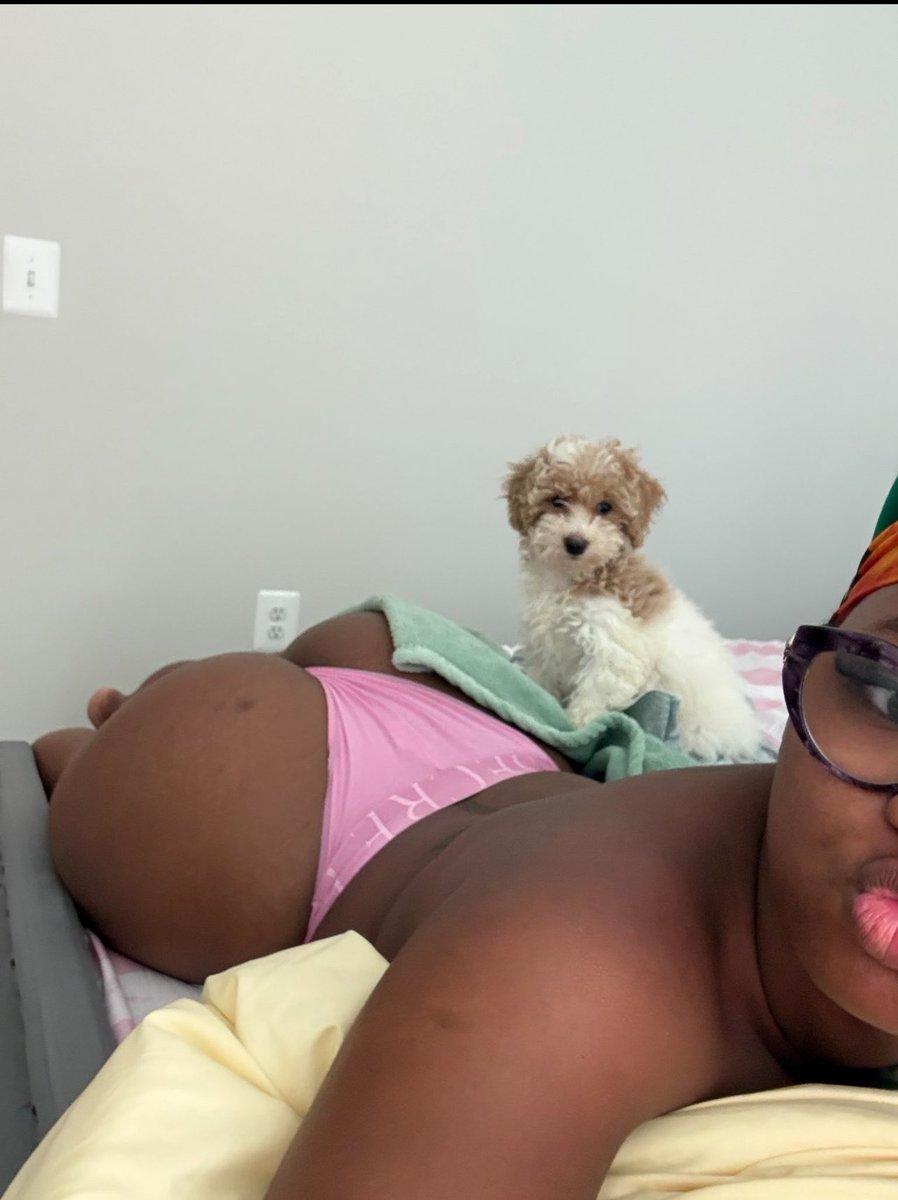 youuadormee's tweet photo. Guess who got a new puppy today !#757freaks #757links #757meets #757meetups https://t.co/VEFhUNQZtC