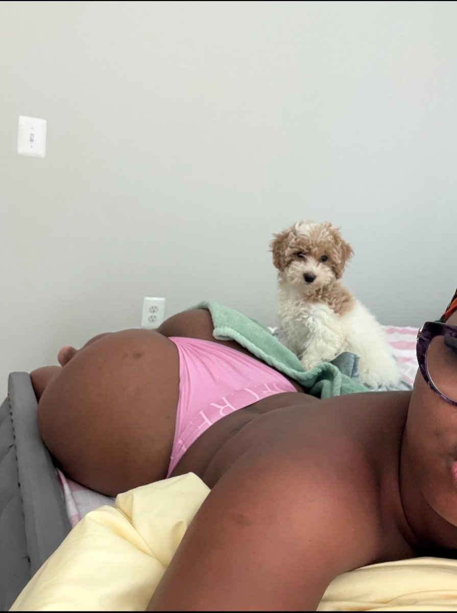 youuadormee's tweet photo. Guess who got a new puppy today !#757freaks #757links #757meets #757meetups https://t.co/VEFhUNQZtC