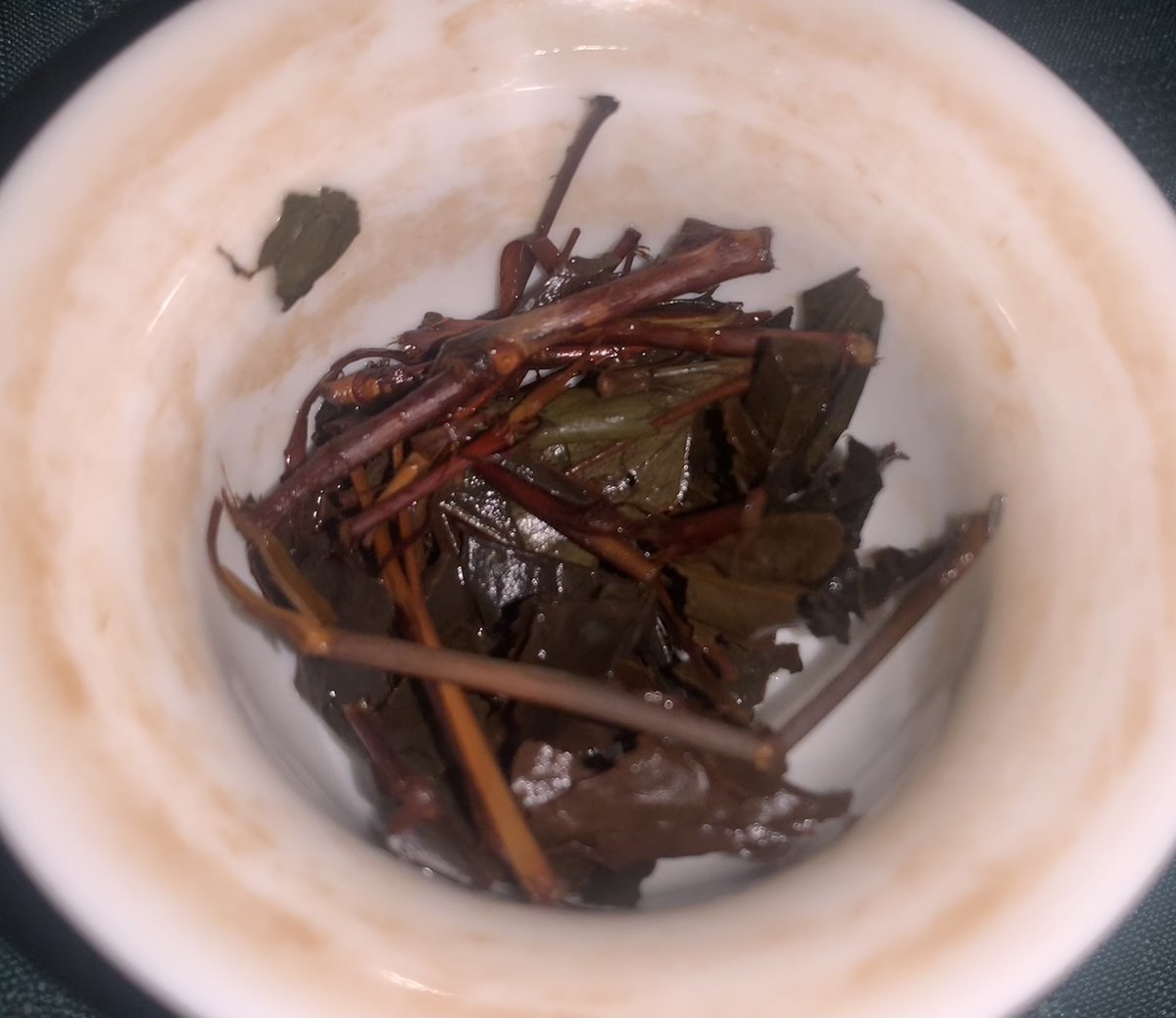 PonBaron290323's tweet photo. My face ( 🤑 ) when I plan to drink white tea from full leaves and get golden from a whole ass bush 

(Chinese white, large leaves, gaba, finished development in Georgia)

#tea https://t.co/MPISNVGpOH