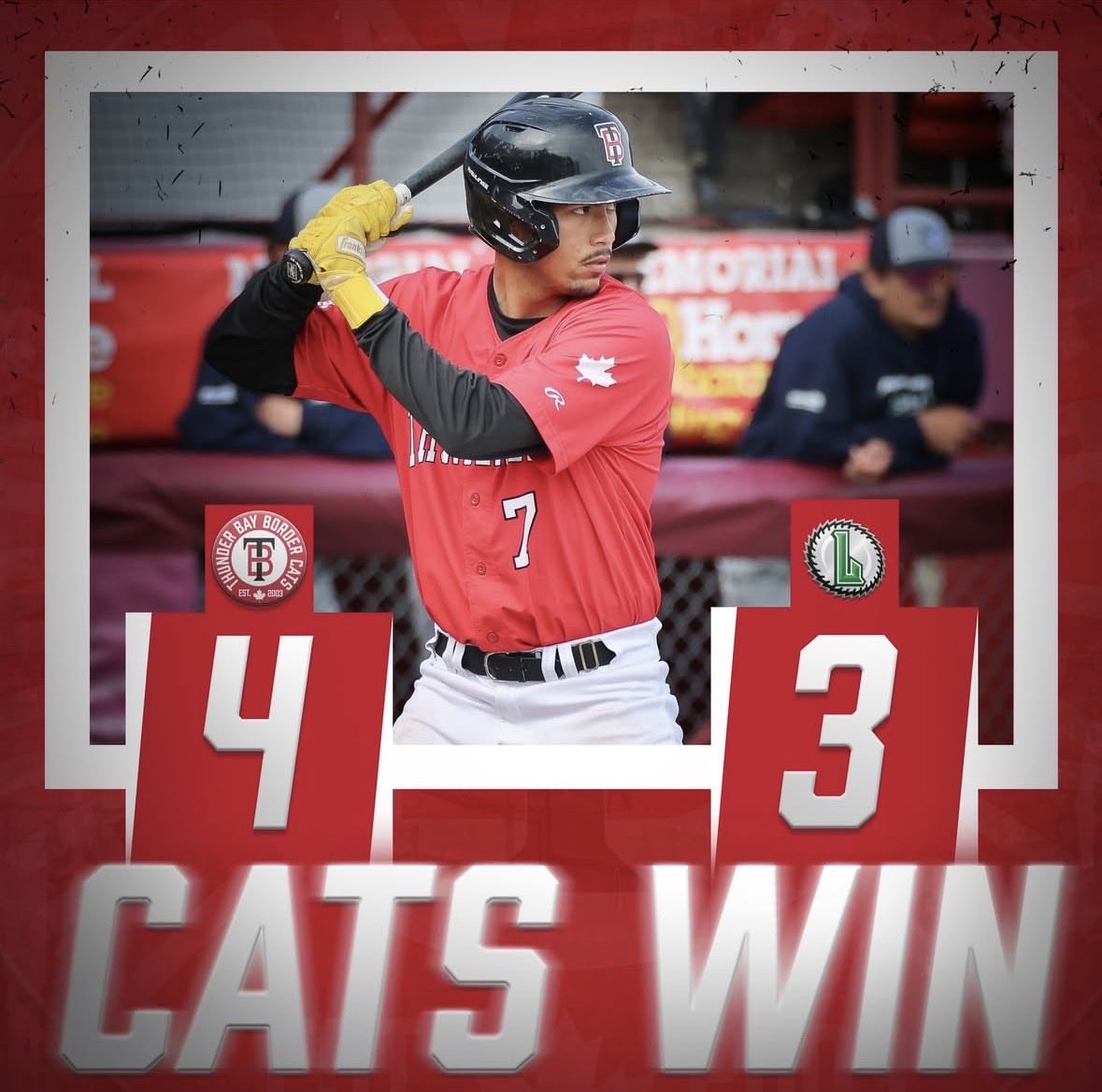 TBBordercats's tweet photo. CATS WIN‼️ CATS WIN‼️ 

#GoCatsGo | @NWLbaseball https://t.co/wsSjH7pFTp