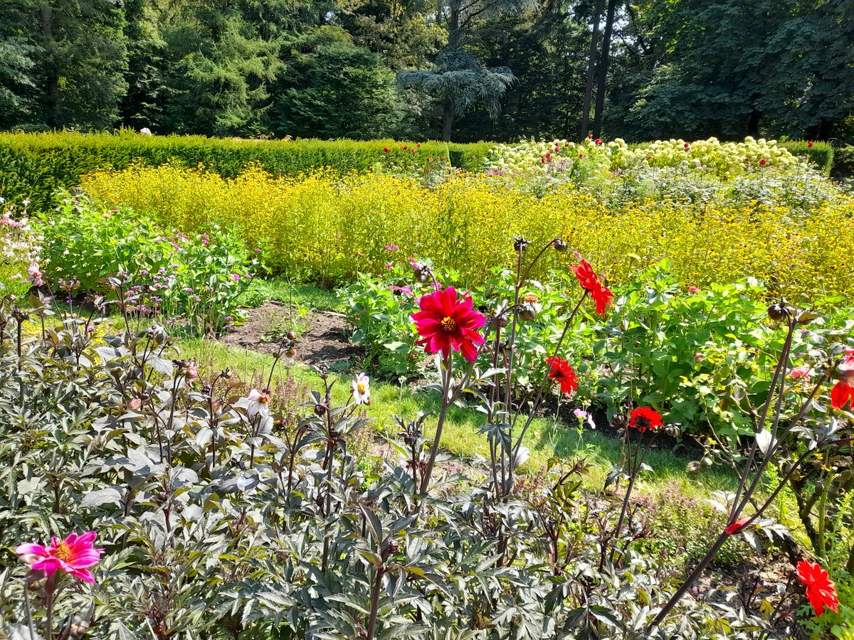 AnnievGansewink's tweet photo. Al 33 jaar woon ik in #wageningen en vandaag heb ik pas, dicht bij huis, weer een pareltje ontdekt: tuin de Lage Oorsprong in #oosterbeek. MΓ©t een veelzijdig optreden van Trio VoilΓ . Tot eind september nog optredens op zondagmiddag @tuinoorsprong https://t.co/D1dRmI0bvz