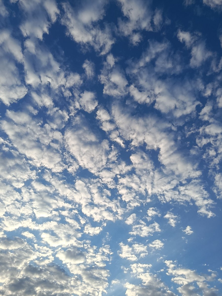 AM65738217's tweet photo. Nephophilia
#nephophilia #cloud #ابر https://t.co/zOAGgXg0uo