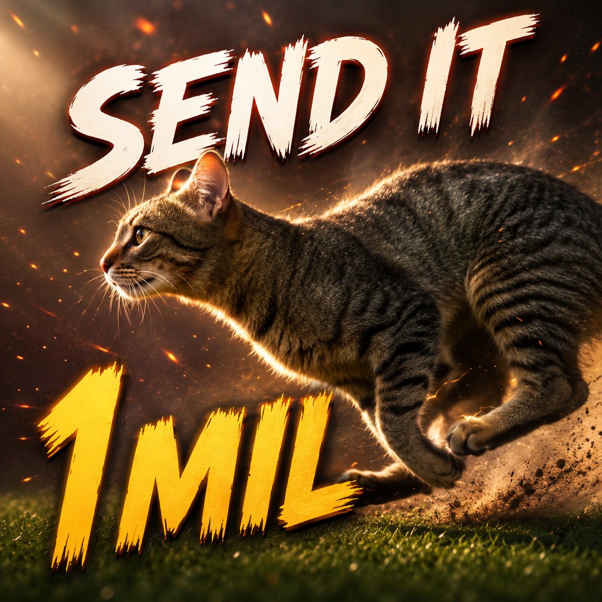 CYLSOLANA's tweet photo. Send it 1mil https://t.co/J08D4hJSW6