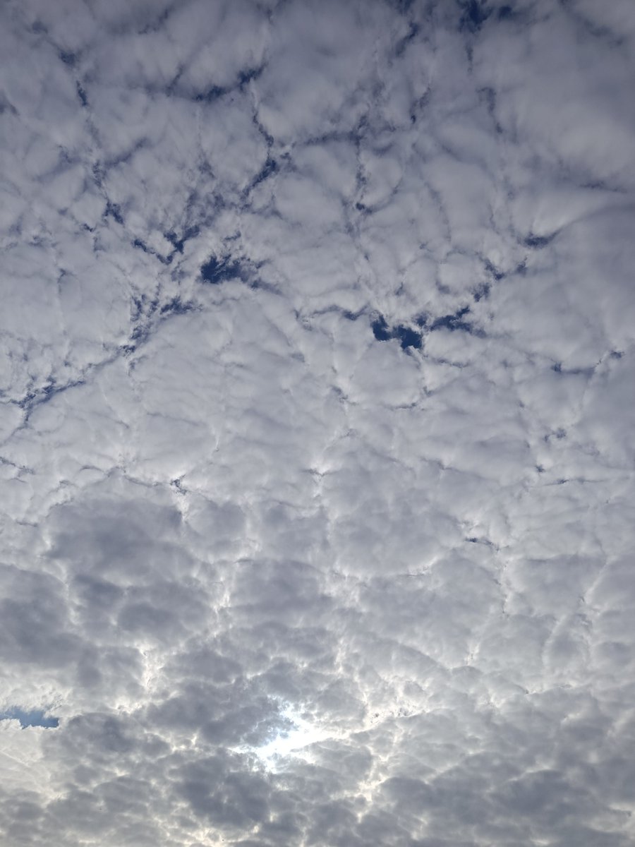 AM65738217's tweet photo. Nephophilia 
#nephophilia #cloud #ابر https://t.co/LaVPWHgG4K