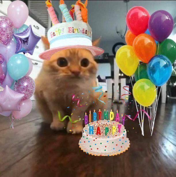 gisselle_os's tweet photo. Holi gente de esta bella comunidad de la que soy parte 💕✨️
Ya otro año más siguiendo al mejor stremer que atraso el extensible para empezarlo en mi cumple un grande @xCryboy https://t.co/McgO3ehmKQ
