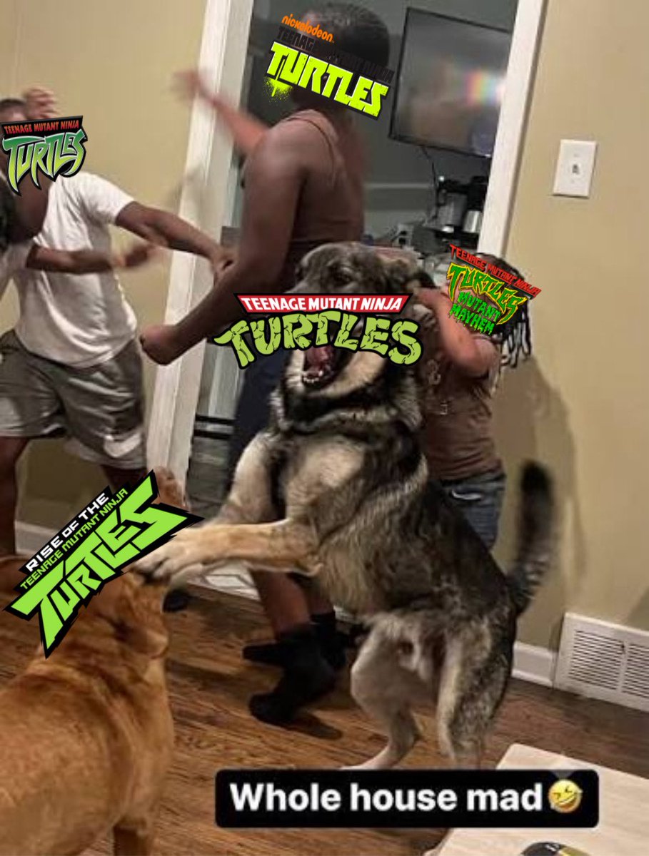 SailorLuney's tweet photo. A bunch of 2012 figures got cancelled

0 updates for the upcoming movies

The shitty Sonic crossover models

AI TMNT YouTuber popping up

Niggas legit bringing back race swap discourse over the baby show

All in one month https://t.co/iCDzYzw1wB