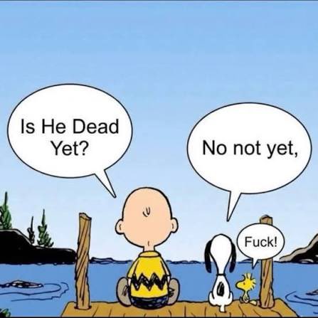 Darla7angel7's tweet photo. @BraddrofliT And yet sadly the world suffers and trumps still in power 😔 https://t.co/Ed16Btz7lp