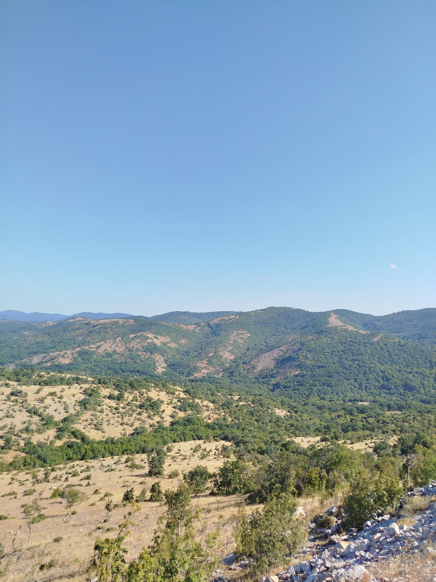 erayaydogan39's tweet photo. #Sazara 'dan geriye kalanlar. 🌿 https://t.co/uPpzdyFnKn