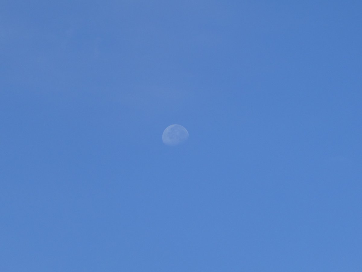 lm025's tweet photo. 朝の空に月。月の左側に土星がいるらしい。 https://t.co/J1KV7jqtuS