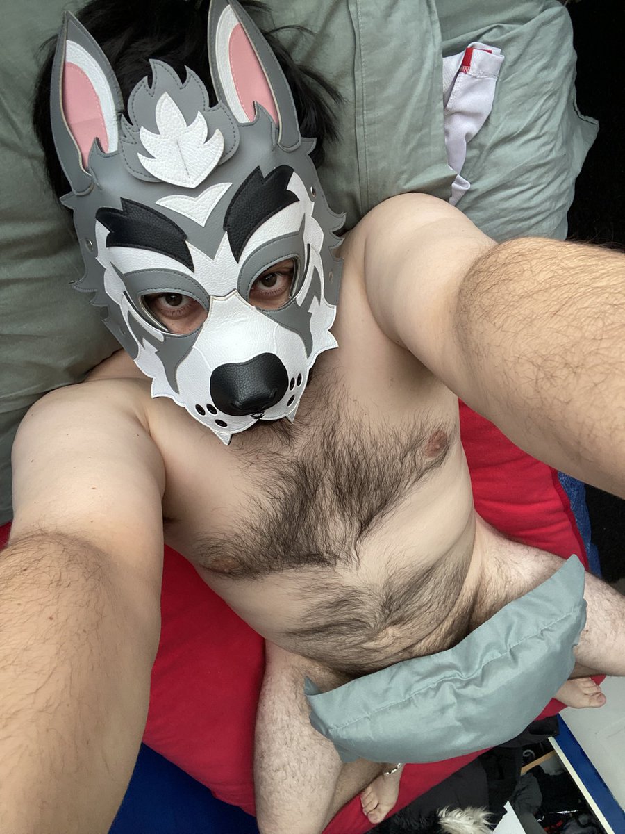 ErebosWolfAD's tweet photo. Grrrrrrrr…. I’m so fucking hot 🔥🐺😈🥴

#mursuit #furry #gay #furryad #mursuiter #Yiff https://t.co/ItlmEnwanv