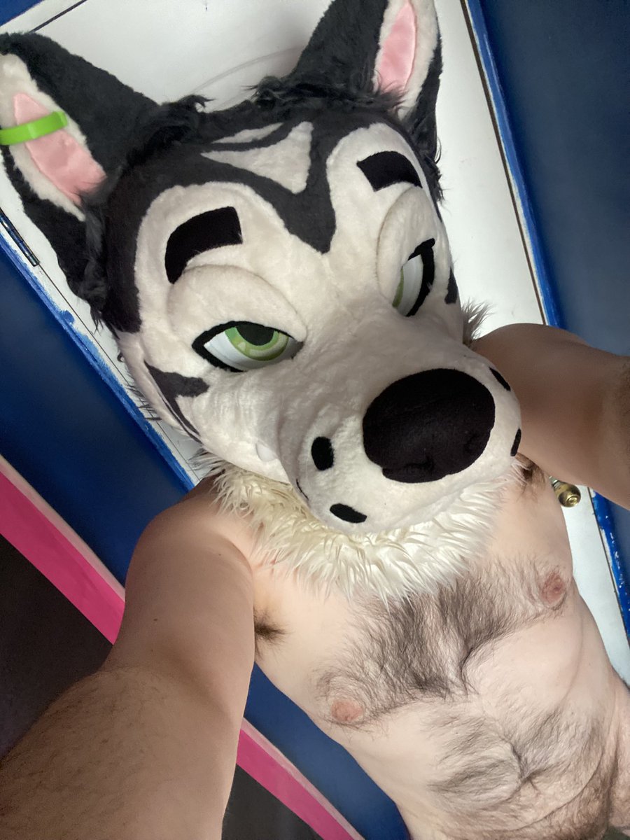 ErebosWolfAD's tweet photo. Grrrrrrrr…. I’m so fucking hot 🔥🐺😈🥴

#mursuit #furry #gay #furryad #mursuiter #Yiff https://t.co/ItlmEnwanv