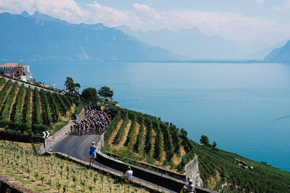 faustocoppi60 tweet picture