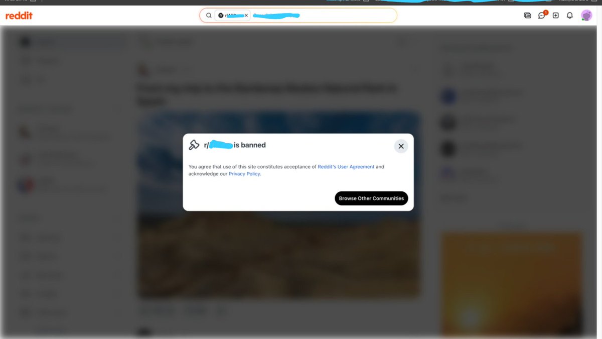 Taltrabelsio's tweet photo. I GOT BANNED!!!! 
Tuesday I'm literally showing y'all how to pull 5,000 visits from Reddit to the site and today my account gets nuked. 

Next move is opening another account https://t.co/g6VSL1HnuX