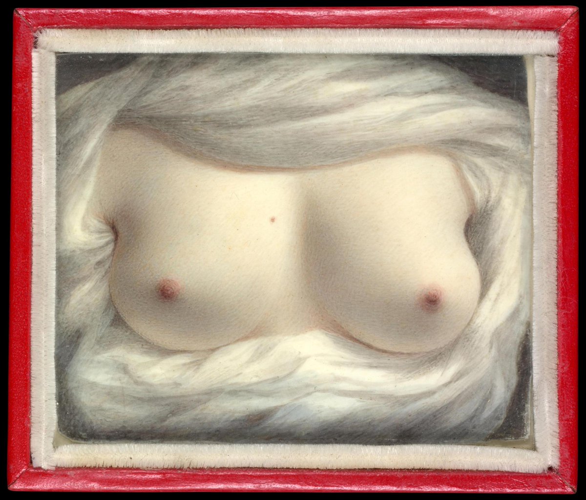 MenschOhneMusil's tweet photo. Beauty Revealed (1828), Sarah Goodridge. https://t.co/lh3VP5oLHQ
