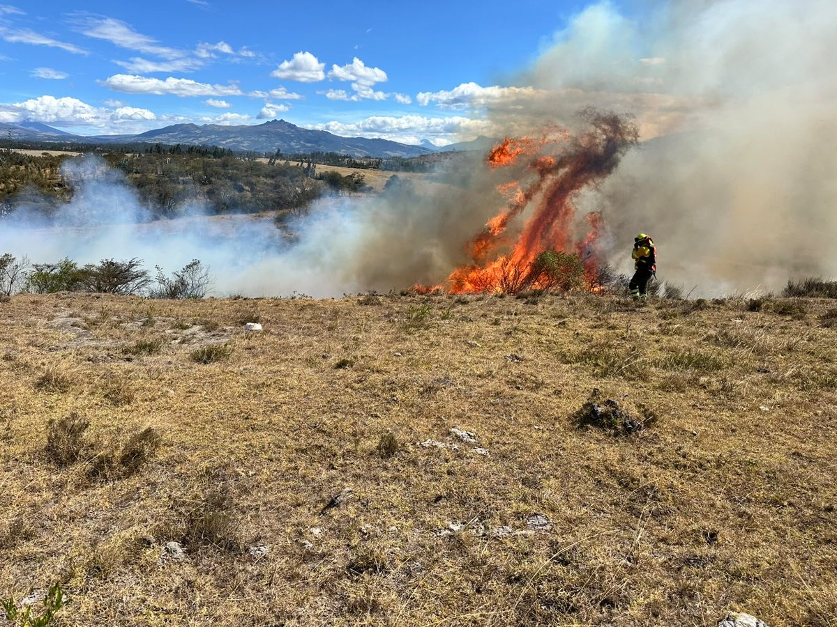 BomberosQuito's tweet photo. 🚒🌿 #EmergenciasUIO | Esta tarde nuestro equipo también controló un incendio registrado en el sector La Cocha, parroquia La Merced.

⚠️ Pero una vez más debemos decirlo con claridad: este incendio pudo evitarse. La IRRESPONSABILIDAD de quienes realizan quemas de vegetación seca, especialmente en zonas rurales y agrícolas, pone en riesgo a toda la comunidad.

🔥 En una temporada donde las condiciones climáticas favorecen la rápida propagación del fuego, una quema que parece inofensiva puede convertirse en minutos en un incendio de grandes proporciones, amenazando viviendas, ecosistemas y la vida de quienes trabajan para controlarlo.

🚒 Mientras algunos deciden prender fuego sin medir las consecuencias, nuestro equipo arriesga su integridad para proteger vidas y nuestro entorno.

🌿 El fuego no solo consume vegetación; destruye espacios naturales y afecta a todos. La prevención empieza con una decisión: no quemar.

👀 Si observas a una persona realizando una quema o provocando fuego en la vegetación, repórtalo de inmediato al 9-1-1.

⚖️ Recuerda: provocar un incendio forestal puede generar multas superiores a los $36.000 e incluso sanciones con pena privativa de libertad.

🔥 No esperemos a que el fuego llegue a nuestras casas para entender el daño que puede causar. La responsabilidad es de todos.

#JuntosContraElFuego #BomberosQuito #SalvamosVidas