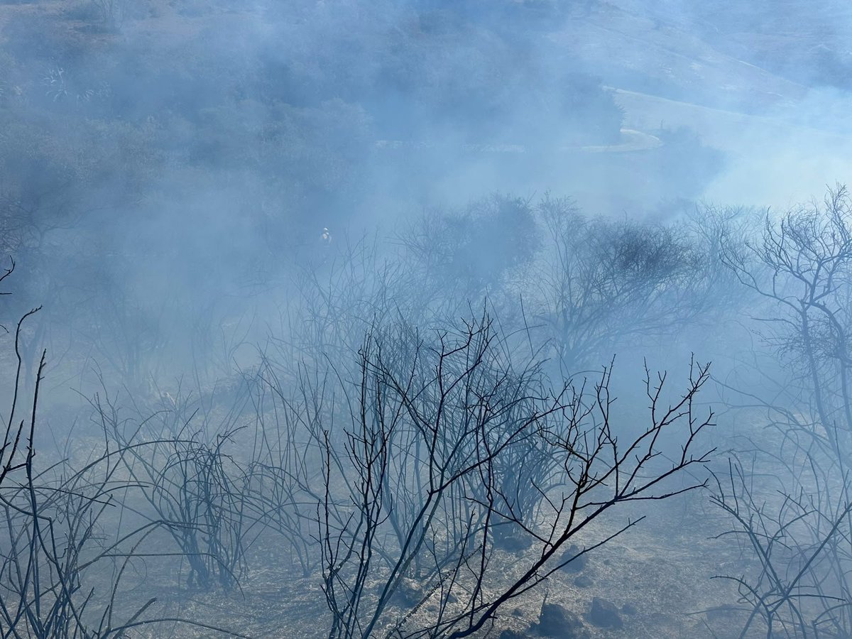 BomberosQuito's tweet photo. 🚒🌿 #EmergenciasUIO | Esta tarde nuestro equipo también controló un incendio registrado en el sector La Cocha, parroquia La Merced.

⚠️ Pero una vez más debemos decirlo con claridad: este incendio pudo evitarse. La IRRESPONSABILIDAD de quienes realizan quemas de vegetación seca, especialmente en zonas rurales y agrícolas, pone en riesgo a toda la comunidad.

🔥 En una temporada donde las condiciones climáticas favorecen la rápida propagación del fuego, una quema que parece inofensiva puede convertirse en minutos en un incendio de grandes proporciones, amenazando viviendas, ecosistemas y la vida de quienes trabajan para controlarlo.

🚒 Mientras algunos deciden prender fuego sin medir las consecuencias, nuestro equipo arriesga su integridad para proteger vidas y nuestro entorno.

🌿 El fuego no solo consume vegetación; destruye espacios naturales y afecta a todos. La prevención empieza con una decisión: no quemar.

👀 Si observas a una persona realizando una quema o provocando fuego en la vegetación, repórtalo de inmediato al 9-1-1.

⚖️ Recuerda: provocar un incendio forestal puede generar multas superiores a los $36.000 e incluso sanciones con pena privativa de libertad.

🔥 No esperemos a que el fuego llegue a nuestras casas para entender el daño que puede causar. La responsabilidad es de todos.

#JuntosContraElFuego #BomberosQuito #SalvamosVidas