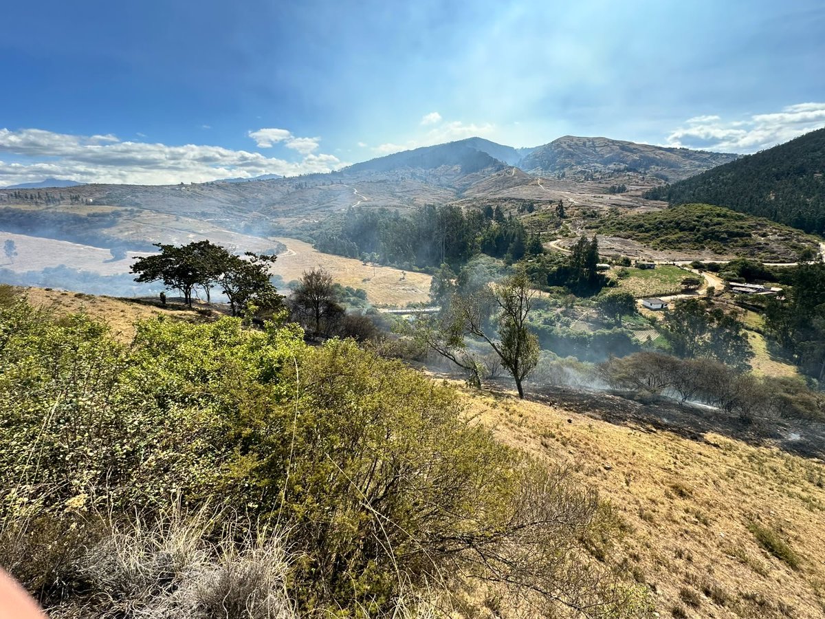 BomberosQuito's tweet photo. 🚒🌿 #EmergenciasUIO | Esta tarde nuestro equipo también controló un incendio registrado en el sector La Cocha, parroquia La Merced.

⚠️ Pero una vez más debemos decirlo con claridad: este incendio pudo evitarse. La IRRESPONSABILIDAD de quienes realizan quemas de vegetación seca, especialmente en zonas rurales y agrícolas, pone en riesgo a toda la comunidad.

🔥 En una temporada donde las condiciones climáticas favorecen la rápida propagación del fuego, una quema que parece inofensiva puede convertirse en minutos en un incendio de grandes proporciones, amenazando viviendas, ecosistemas y la vida de quienes trabajan para controlarlo.

🚒 Mientras algunos deciden prender fuego sin medir las consecuencias, nuestro equipo arriesga su integridad para proteger vidas y nuestro entorno.

🌿 El fuego no solo consume vegetación; destruye espacios naturales y afecta a todos. La prevención empieza con una decisión: no quemar.

👀 Si observas a una persona realizando una quema o provocando fuego en la vegetación, repórtalo de inmediato al 9-1-1.

⚖️ Recuerda: provocar un incendio forestal puede generar multas superiores a los $36.000 e incluso sanciones con pena privativa de libertad.

🔥 No esperemos a que el fuego llegue a nuestras casas para entender el daño que puede causar. La responsabilidad es de todos.

#JuntosContraElFuego #BomberosQuito #SalvamosVidas