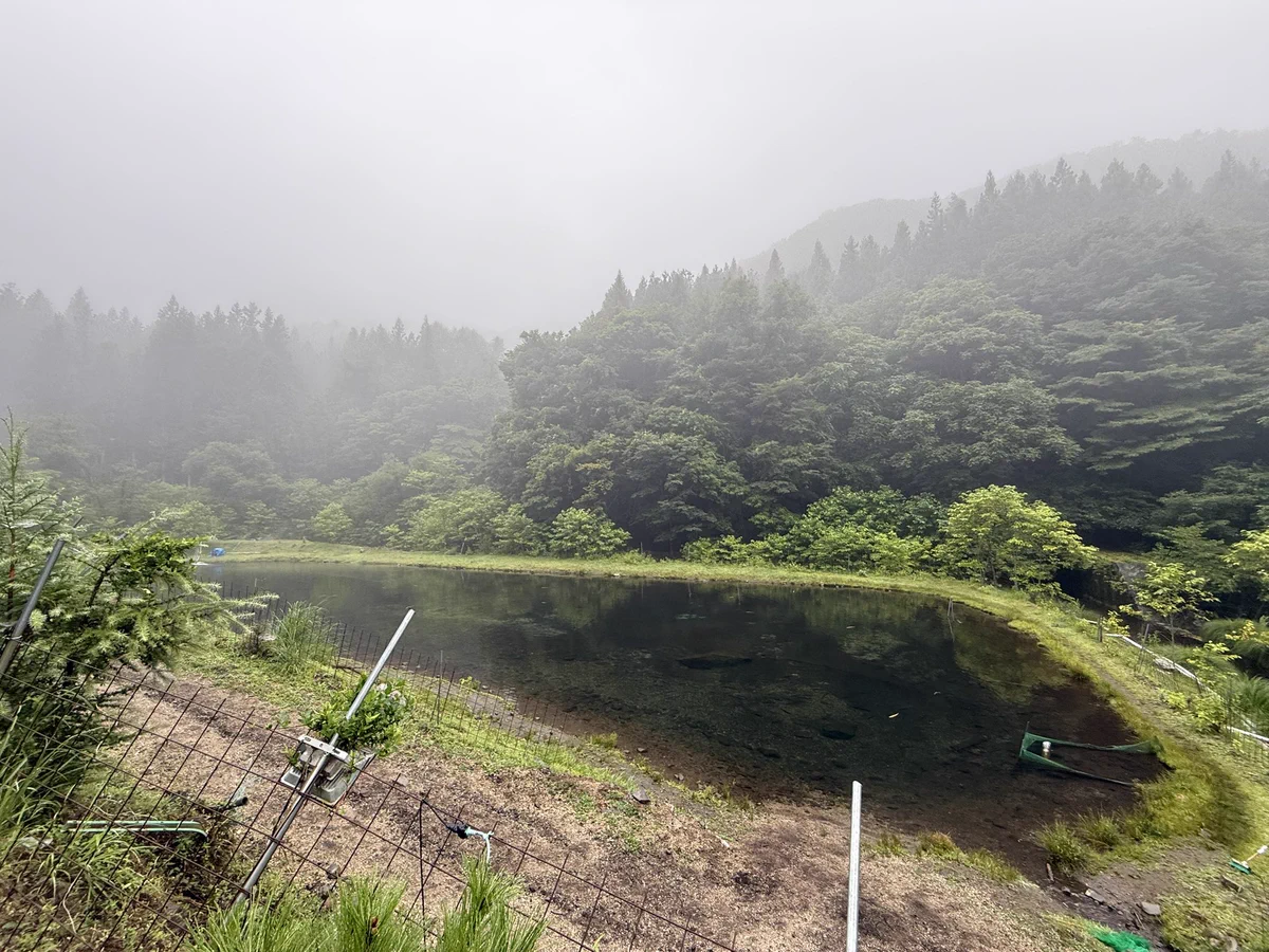 トトロです トトロ🍃 on X: 