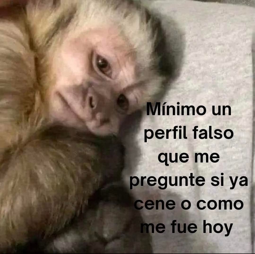 angelo_uf's tweet photo. Mínimo 🥺 https://t.co/iQ4s7iyZFy