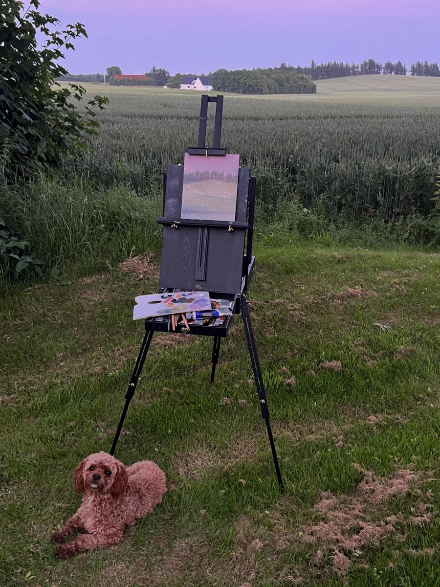 lucasfjohnson's tweet photo. These are my main income streams as a full time artist. If you’ve started selling a few paintings and want to go full time I highly recommend looking into making prints of your paintings. Let me know if you’d like more information about how I go about setting up prints :) https://t.co/MWEOTwHvXf