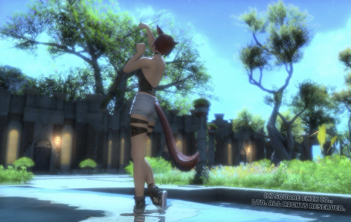 hakubi_FF14's tweet photo. おはミコ☀️

ちょっとミラプリ増やしてみました☺️

とっても涼しい〜🍃

今日もゆるふぁいだよ✊🏻

 #おはミコ  #FF14 https://t.co/lQXzPtnzfQ
