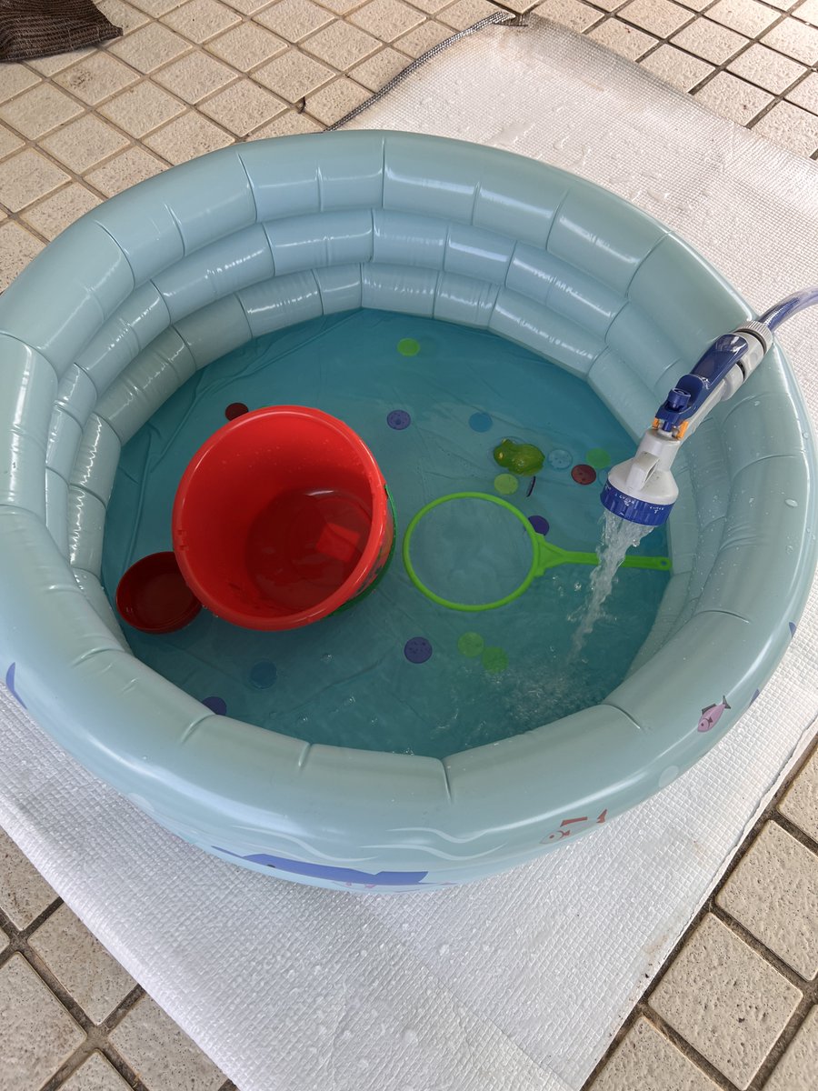 kens_mw's tweet photo. おはようございます☁️

昨日はお休みだったので子をプールに入れてあげたり、庭の植物の整理、そして数年ぶりに原付の修理を始めることが出来ました。

原付はもう数年物置にしまっていたのでまずは純正戻し出来るようにコツコツ直していきます。

それでは本日もご安全に‼️ https://t.co/fM23YLyxGb