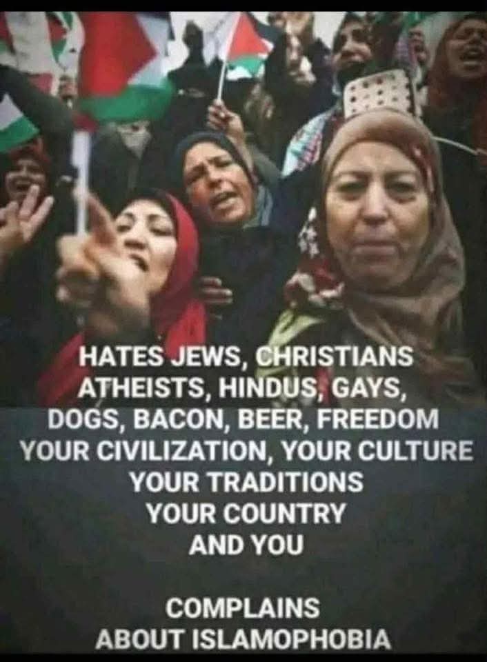 StevenL49204322's tweet photo. @GadSaad Well , the despicable truth about islamofascism's are coming out from every angle-Let them panic and deflect even more--Aloha 🤣🤣🤣 Snackbar--!! https://t.co/OeNKzKXlB8