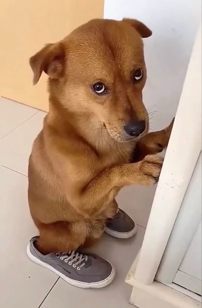 annameloxz's tweet photo. Ainda tenho dúvidas se ele me odeia ou não https://t.co/TuktkmtphF