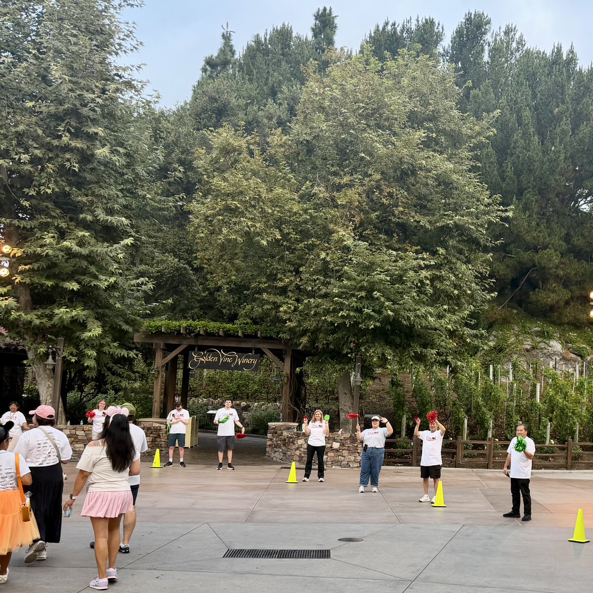 DAPs_Magic's tweet photo. CHOC Walk 2026 takes a turn at the Golden Vine Winery in Disney California Adventure.
#CHOCWalk
#dapsmagic https://t.co/3nnLESZxrE
