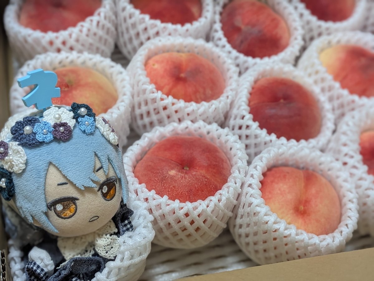 doux_225's tweet photo. 🍑とネぬ出荷です
＃月曜ぬいMorning https://t.co/qJ3kJywj8X