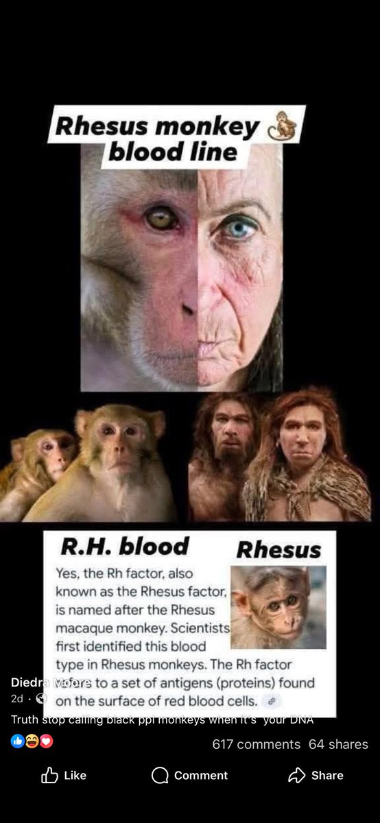 will90Solid's tweet photo. @HelmerChris @Mappy6984 this my last time saying this shit you whites are the only ones directly connected to animals you evolved from animals you are a Neanderthal share blood with monkeys it’s already been a scientific proving please learn 🤔😂 https://t.co/2RgmUNMoeY
