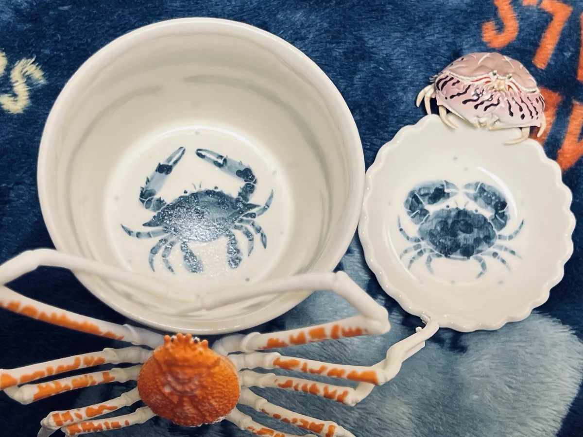 もぐるいるい🤿🦐🦀 on X: 