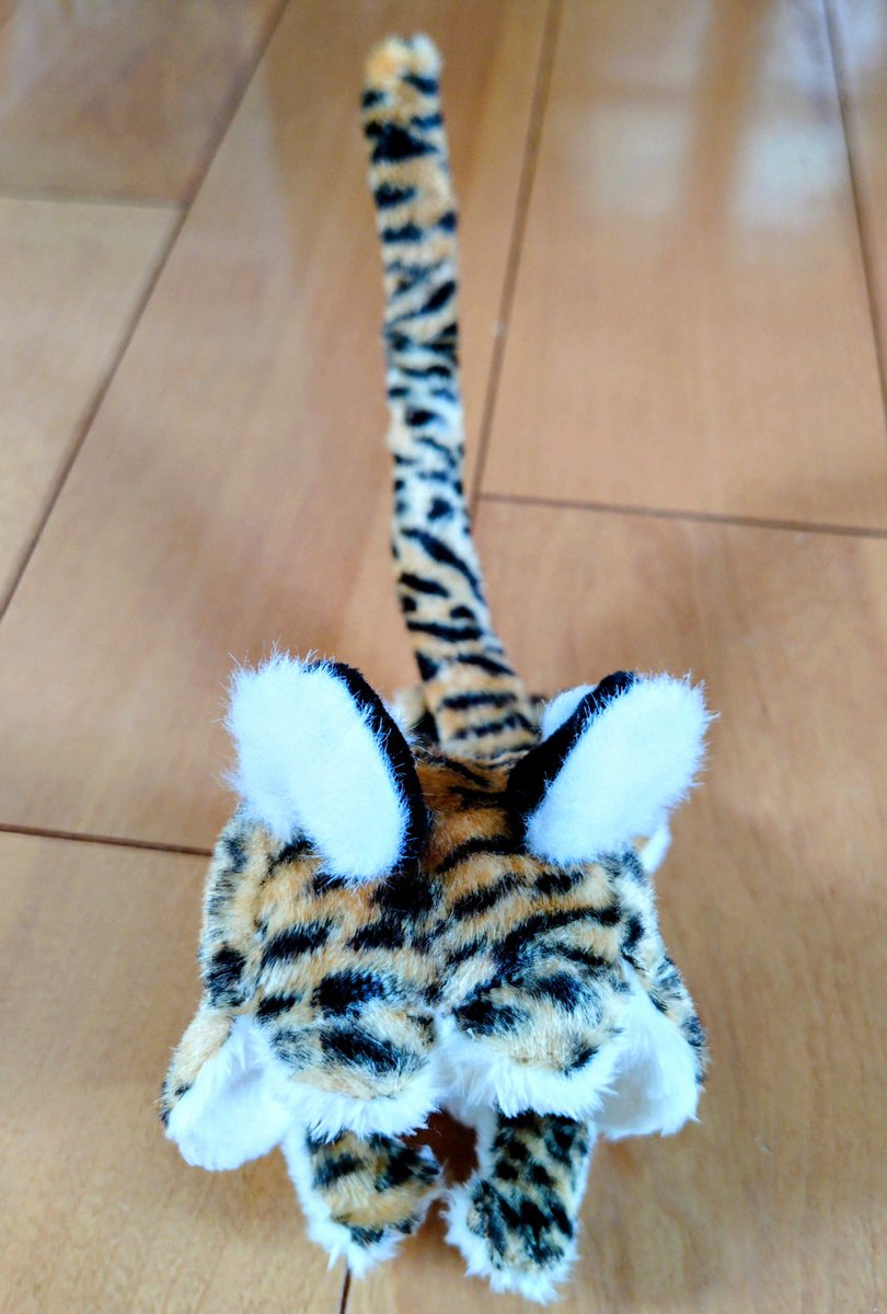 ラビフィー® ©ポロンアルマジロ 8/2ケモノクリエーションK-11 tweet media