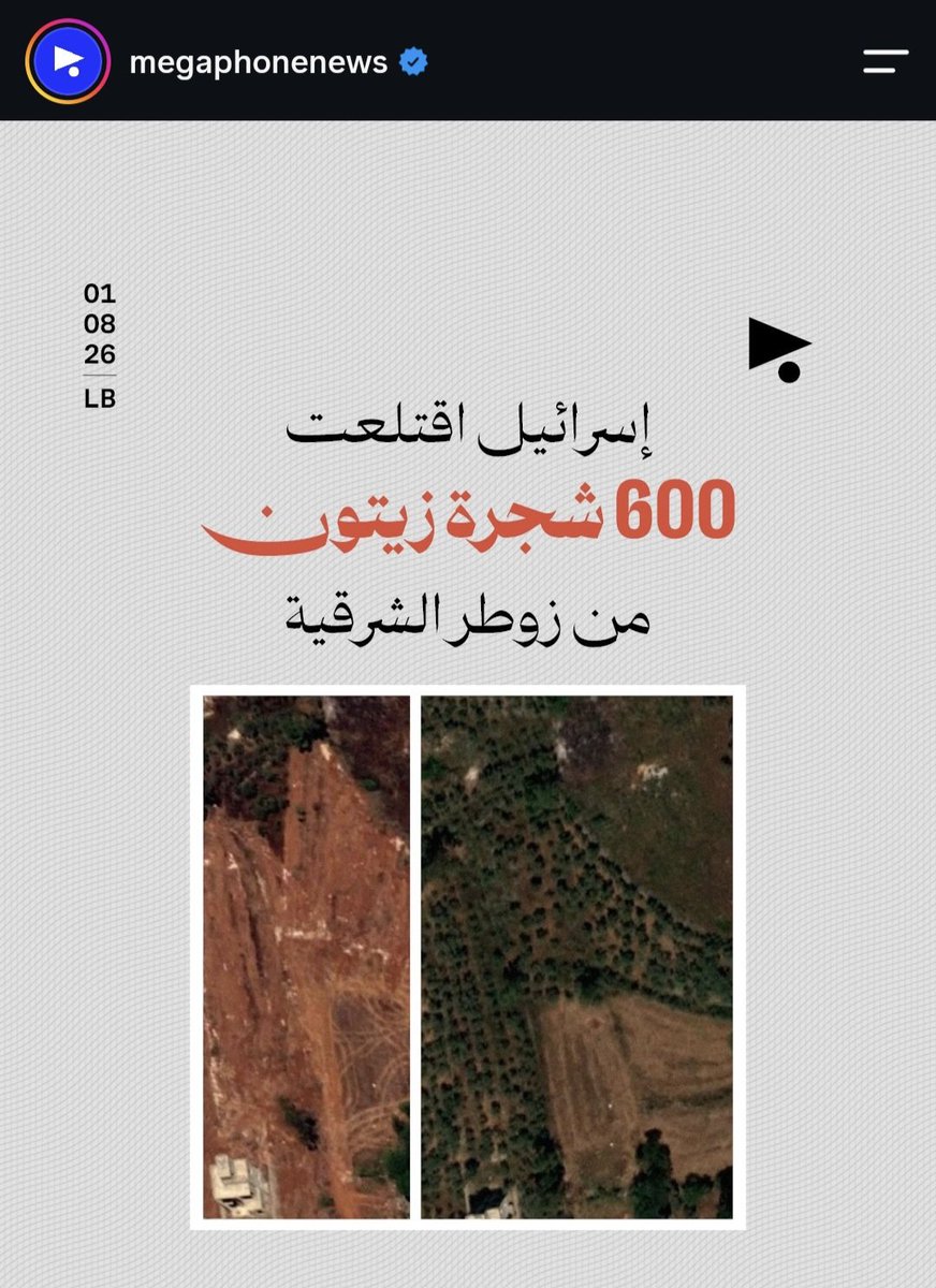 kataraluvr's tweet photo. btw israel uprooted 600 olive trees in the south of Lebanon, and that's just one town. https://t.co/2F2zXw1kjT