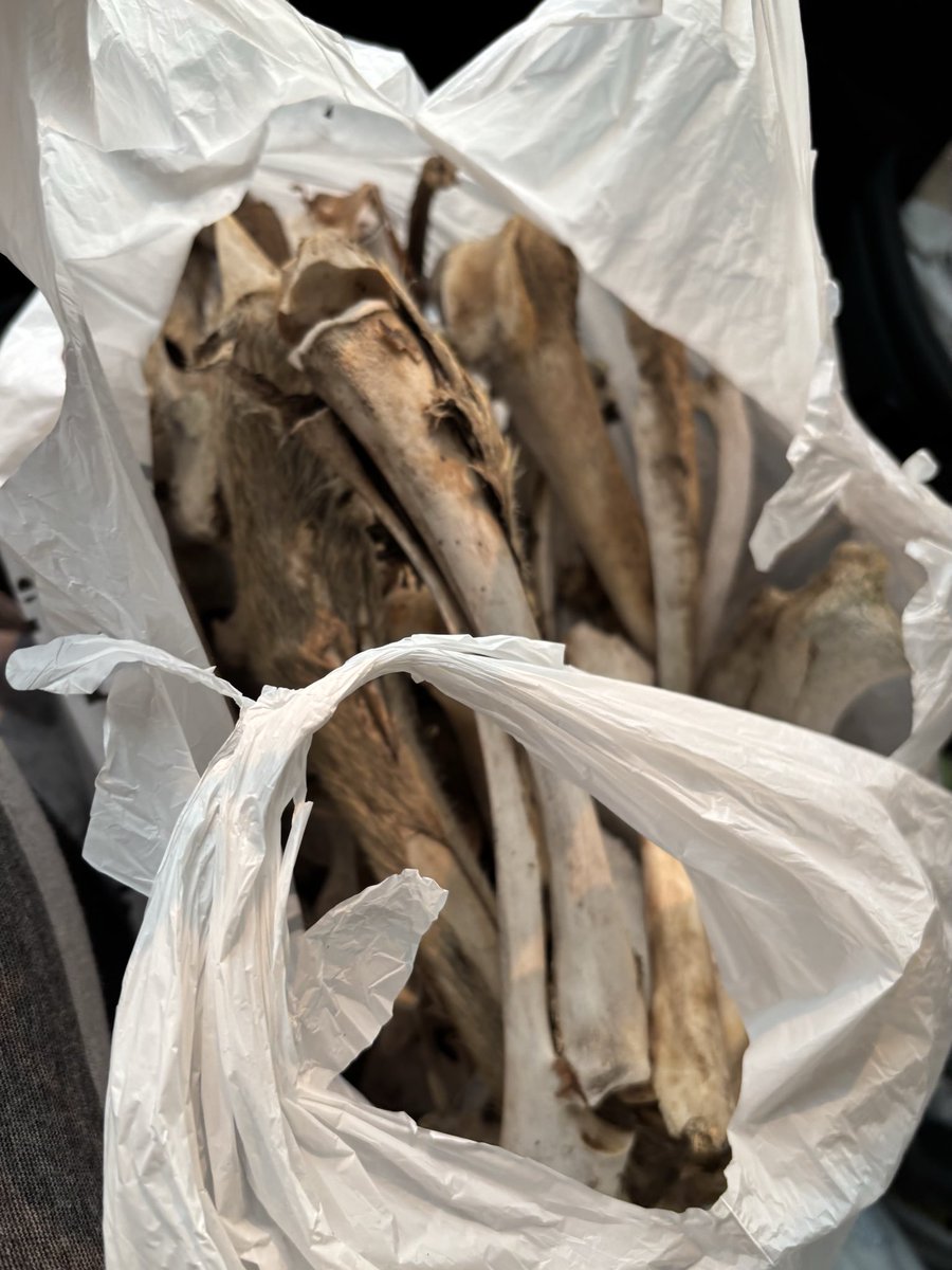 bloomingtmrw's tweet photo. A good haul from by the lake 💪💪 https://t.co/5aW0BF73FZ