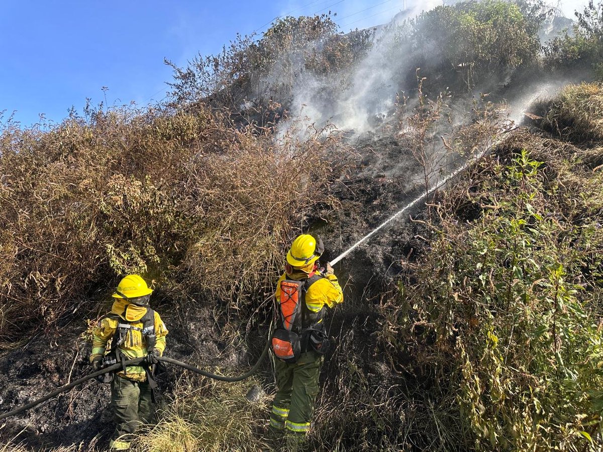 BomberosQuito's tweet photo. 🔥🌿 #Actualización | Controlamos el incendio forestal registrado en el sector La Libertad, evitando que el fuego se propague y cause mayores daños.

⚠️ La irresponsabilidad de quienes realizan quemas de vegetación seca sigue poniendo en riesgo vidas, viviendas y nuestros ecosistemas. Una decisión puede provocar una emergencia de grandes proporciones.

🔥 Necesitamos más conciencia y menos acciones que pongan en peligro a toda la comunidad. Prevenir los incendios forestales es responsabilidad de todos.

📞 Si observas una quema o columna de humo, repórtala de inmediato al 9-1-1.

#BomberosQuito #JuntosContraElFuego