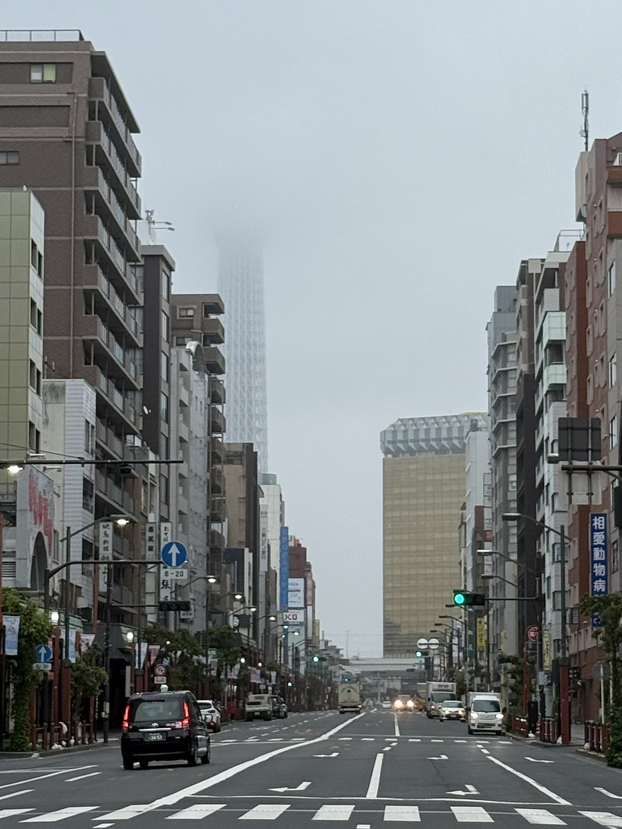 zuihama's tweet photo. @nagataniya0904 おはようございますm(_ _)m 永谷屋さん　こちらは弱い雨が降ってます。今日は熱帯夜解消、予想最高気温も30℃届かずで楽出来そうです（＾_＾）今週もよろしくお願いします。 https://t.co/z50w8XHNwX