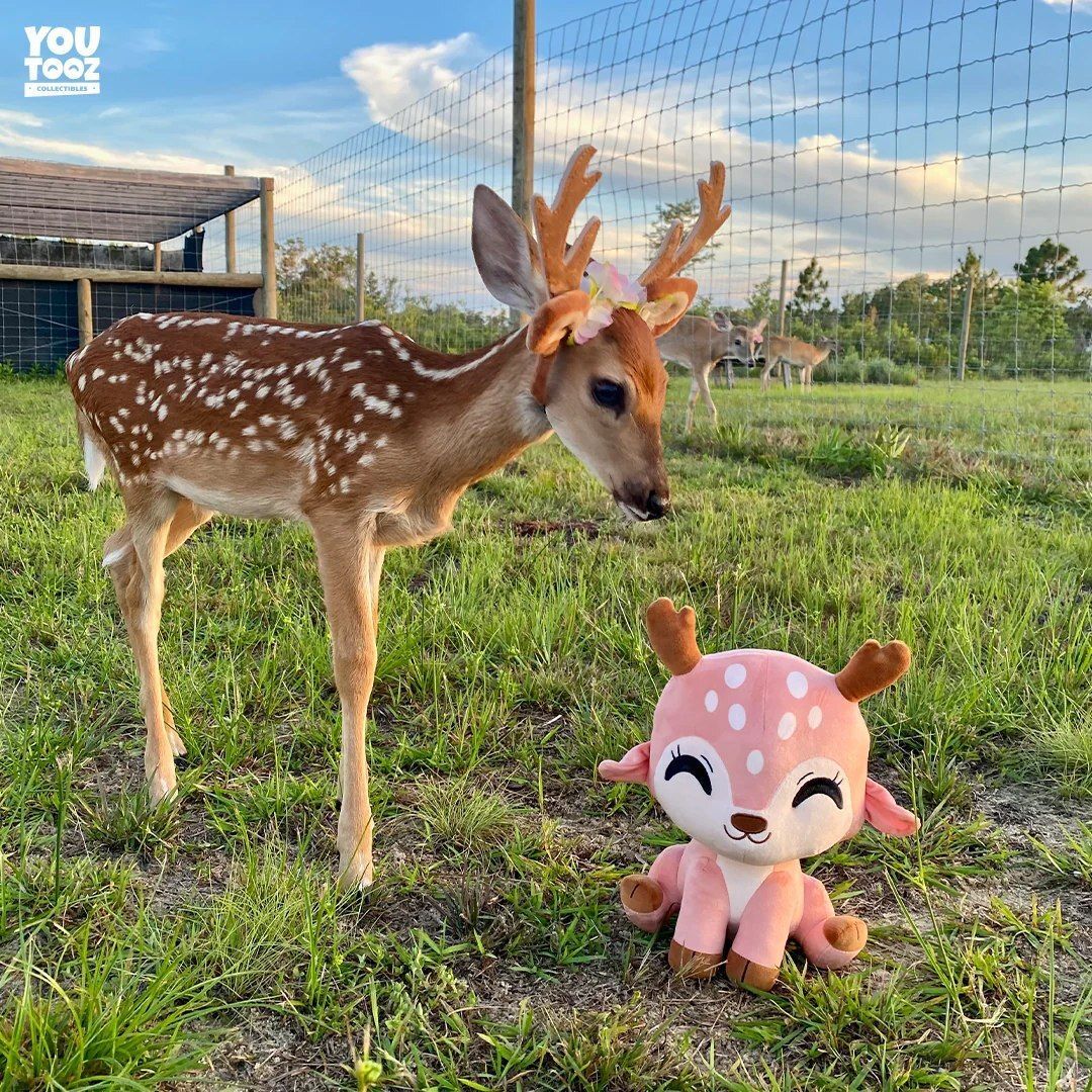Deer in Places they Shouldn't Be tweet media