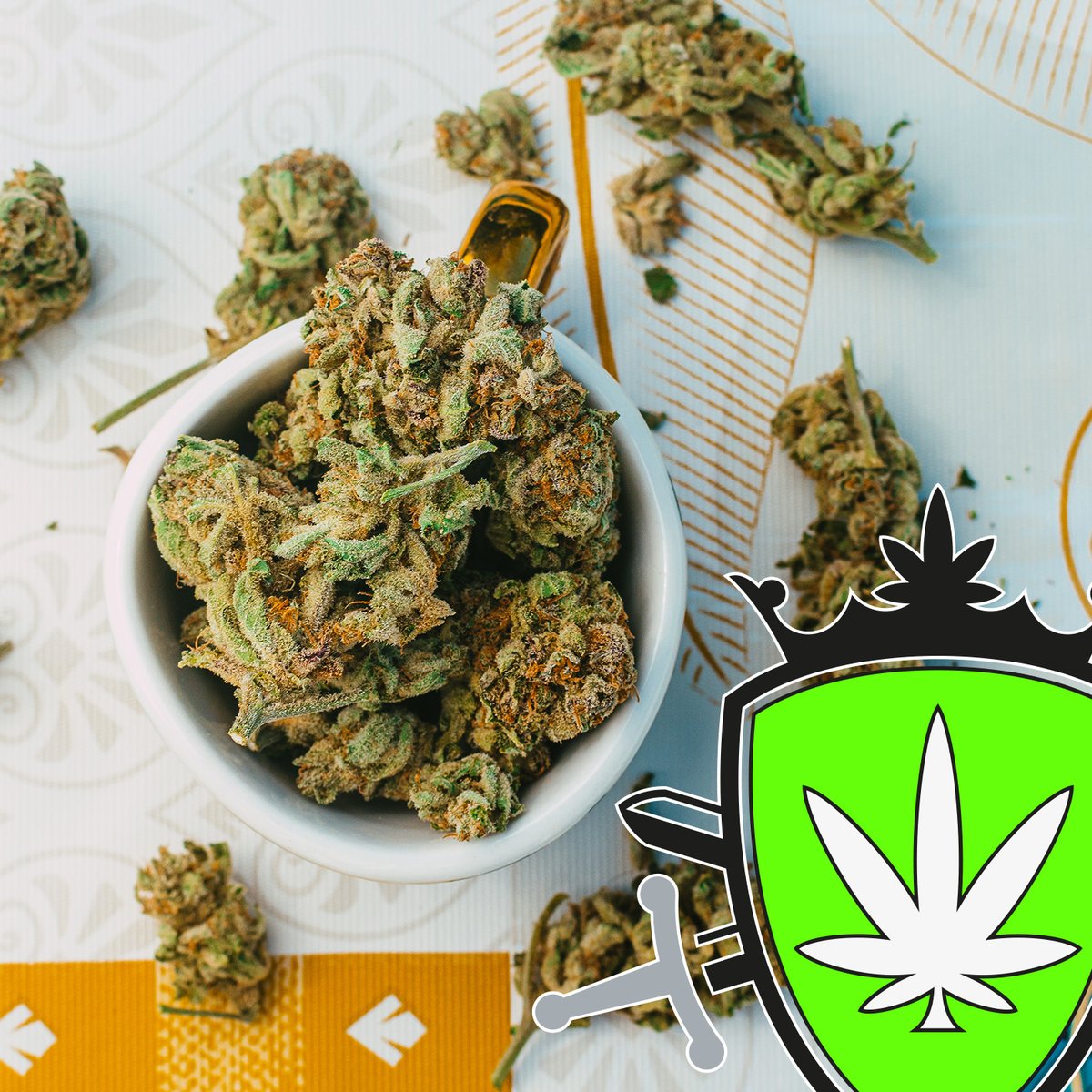 CBDkoning2nd's tweet photo. CBD Koning - sinds 2019
Meer dan 40 soorten CBD
Vanaf β¬ 0,99 per gram π
Bekijk alles in onze bio β
#CBDKoning #KoningCBD #SummerSlam #beau_gustus
#Haarlem #Leiden #Travel https://t.co/NnkZZmH5LQ