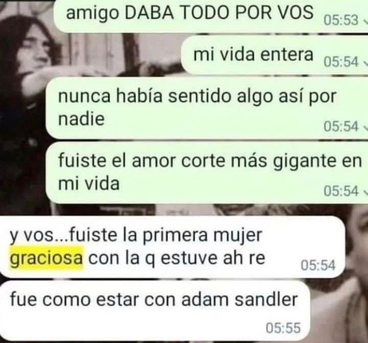 milu lvs jose 🐾 tweet media