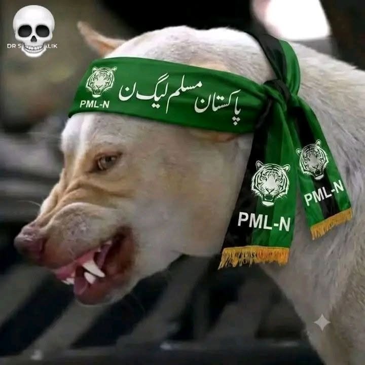 athariqbal's tweet photo. @Hasy666 مہنگائی کے سوال پہ نون لیگی ری ایکشن 🤣🤣 https://t.co/ENb5TDLfrO