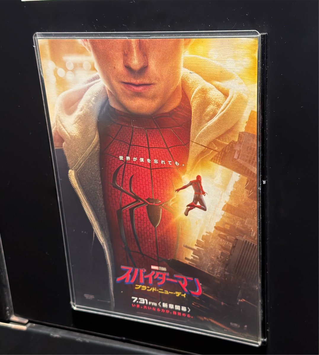 Lav1Is's tweet photo. スパイダーマン面白かったけど、ノーウェイホームが神すぎたな https://t.co/PQewDtk8sk