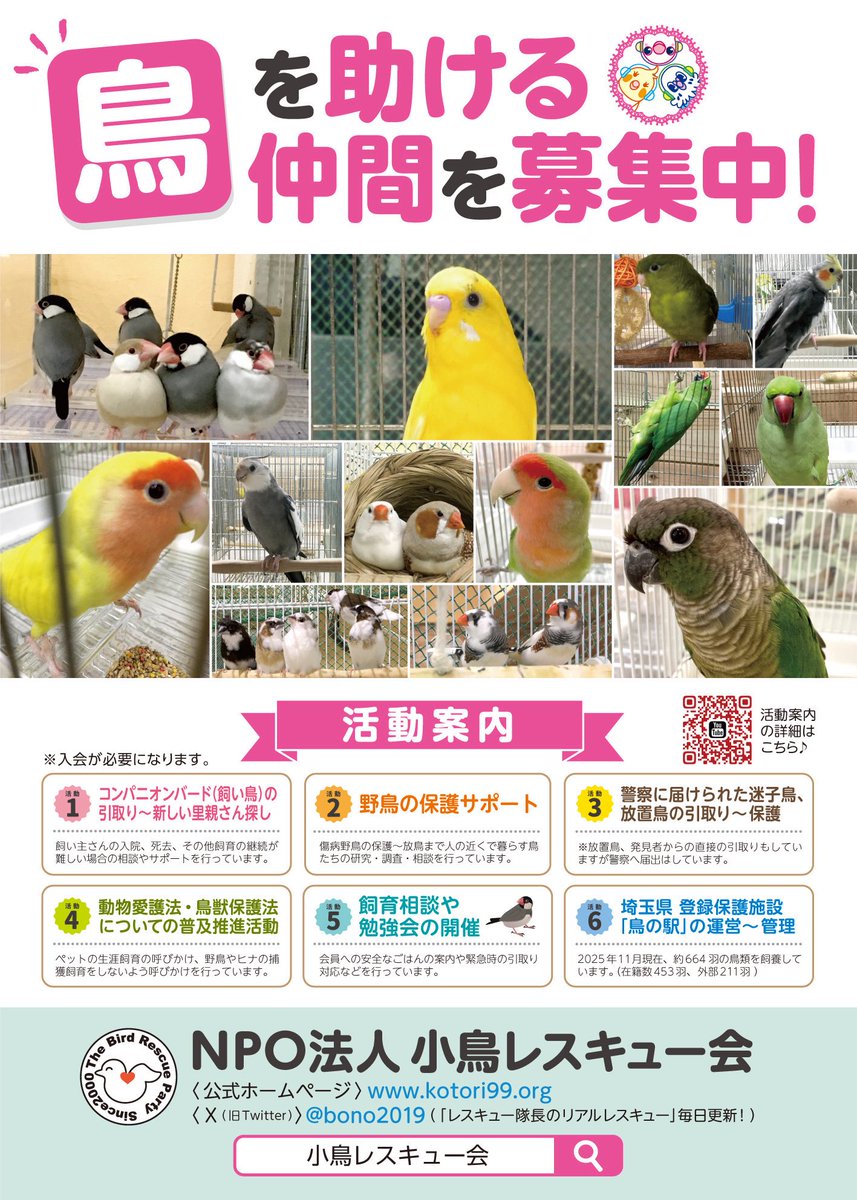 小鳥レスキュー隊の隊長 tweet media