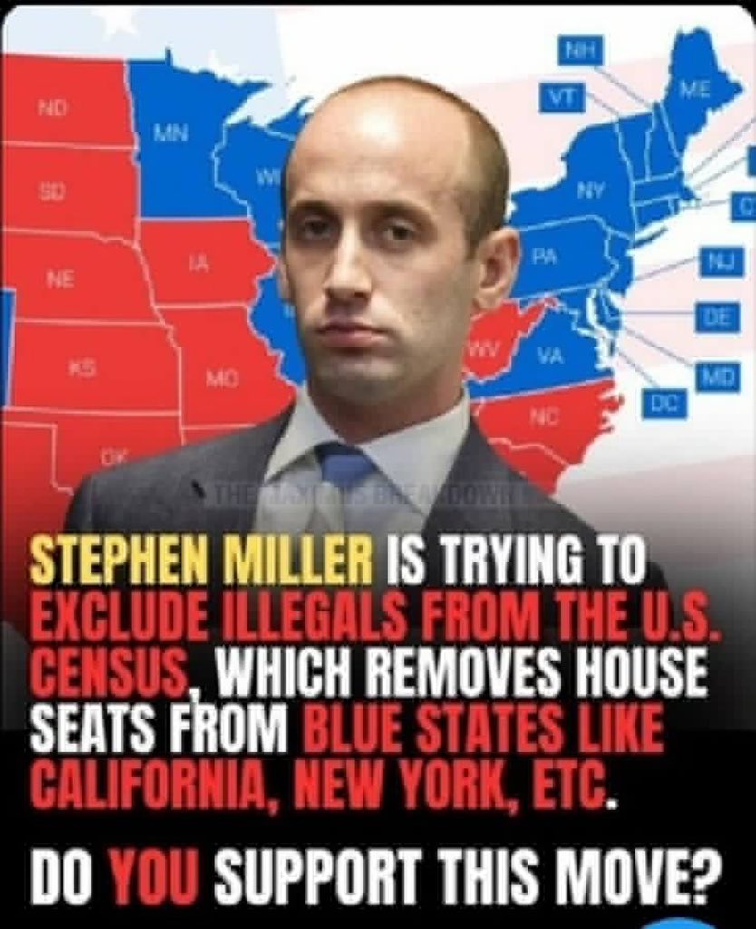 The White Pool Q tweet media