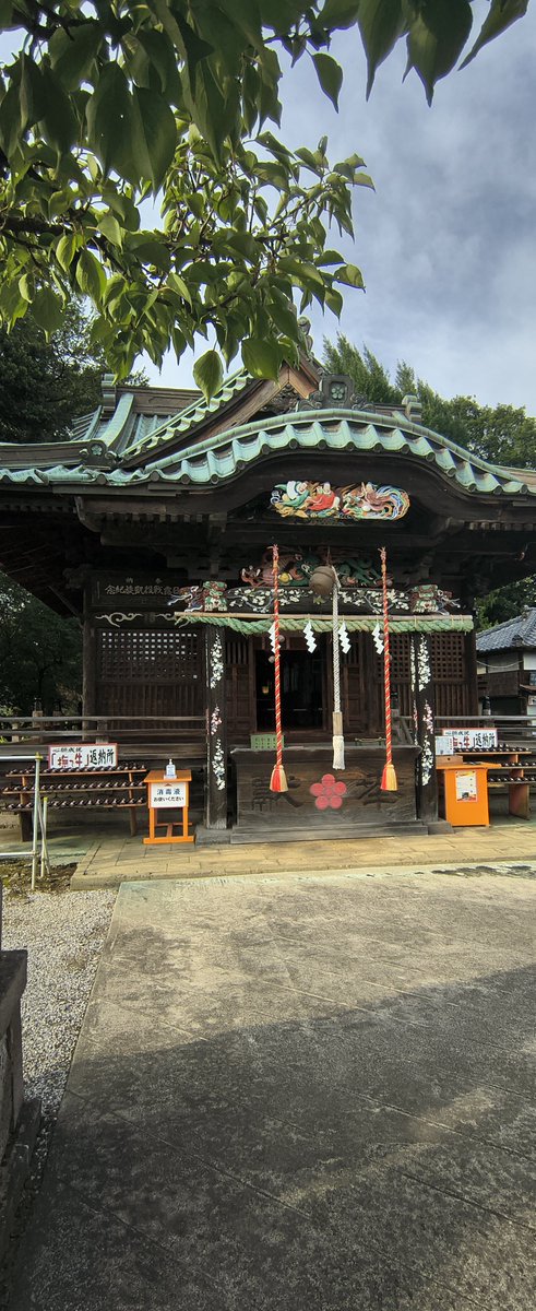 thirstofheart's tweet photo. 板倉町に来ると、
高鳥天満宮⛩️を
訪ねました‼️
辺りは住宅地ですが、
其中に鎮座していますが、
錚々たる
神社ですね‼️✨✨✨

#高鳥天満宮 https://t.co/EEs5KL9OCa