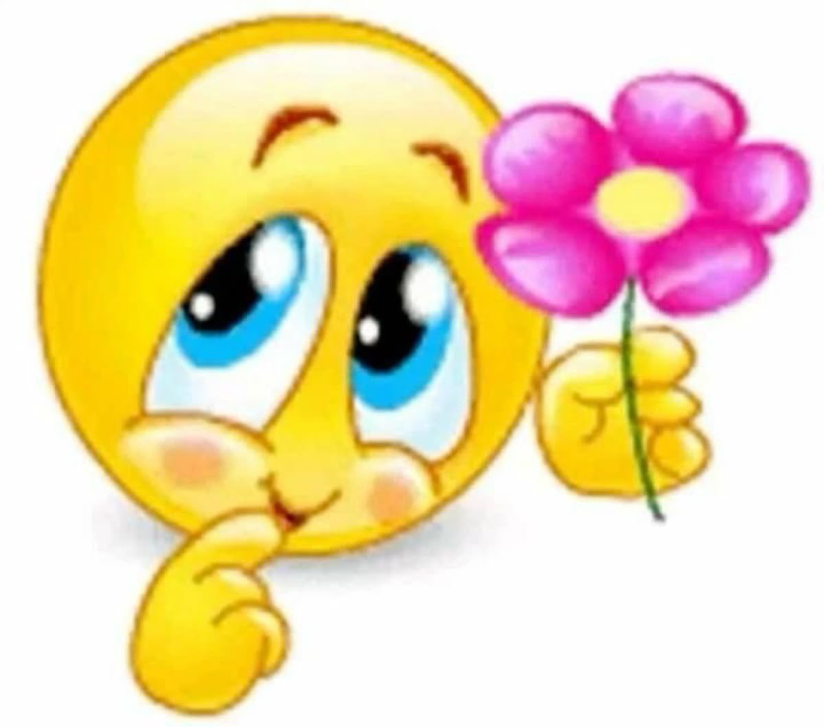 naniskot's tweet photo. @lullaby4killers Por favor y gracias https://t.co/uKP9JkRRk5